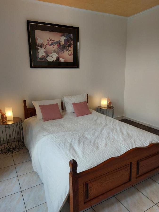 Appartement Rdc Plein Centre Avec Terrasse วิเซ ภายนอก รูปภาพ
