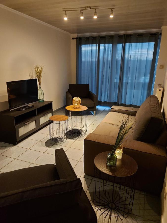 Appartement Rdc Plein Centre Avec Terrasse วิเซ ภายนอก รูปภาพ
